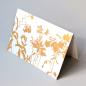 Preview: grasbe041gold*10