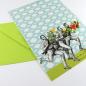 Preview: grasbe042*10