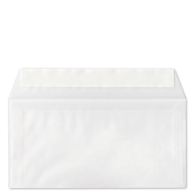10er Set Recyclingkarten mit Transparentumschlag: DANKE SCHÖN (silberner Druck)