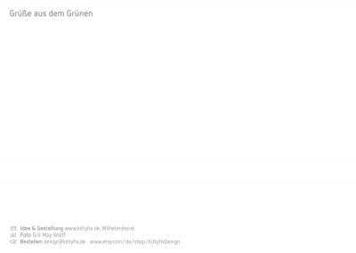 Postkarte mit Spruch: Grüner wird´s nicht!