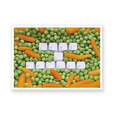 Postkarte: JUNG + FRISCH