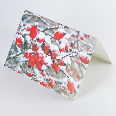 Foto-Karte für Weihnachten und Neujahr: Hagebuttenzweig im Schnee