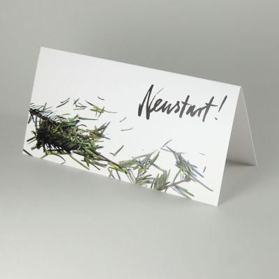 10er Set witzige Neujahrskarten mit grünen Kuverts: Neustart!