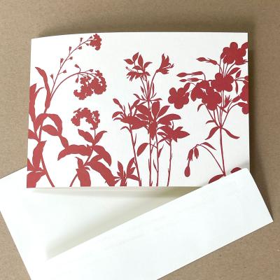 grasbe041rot-creme*1