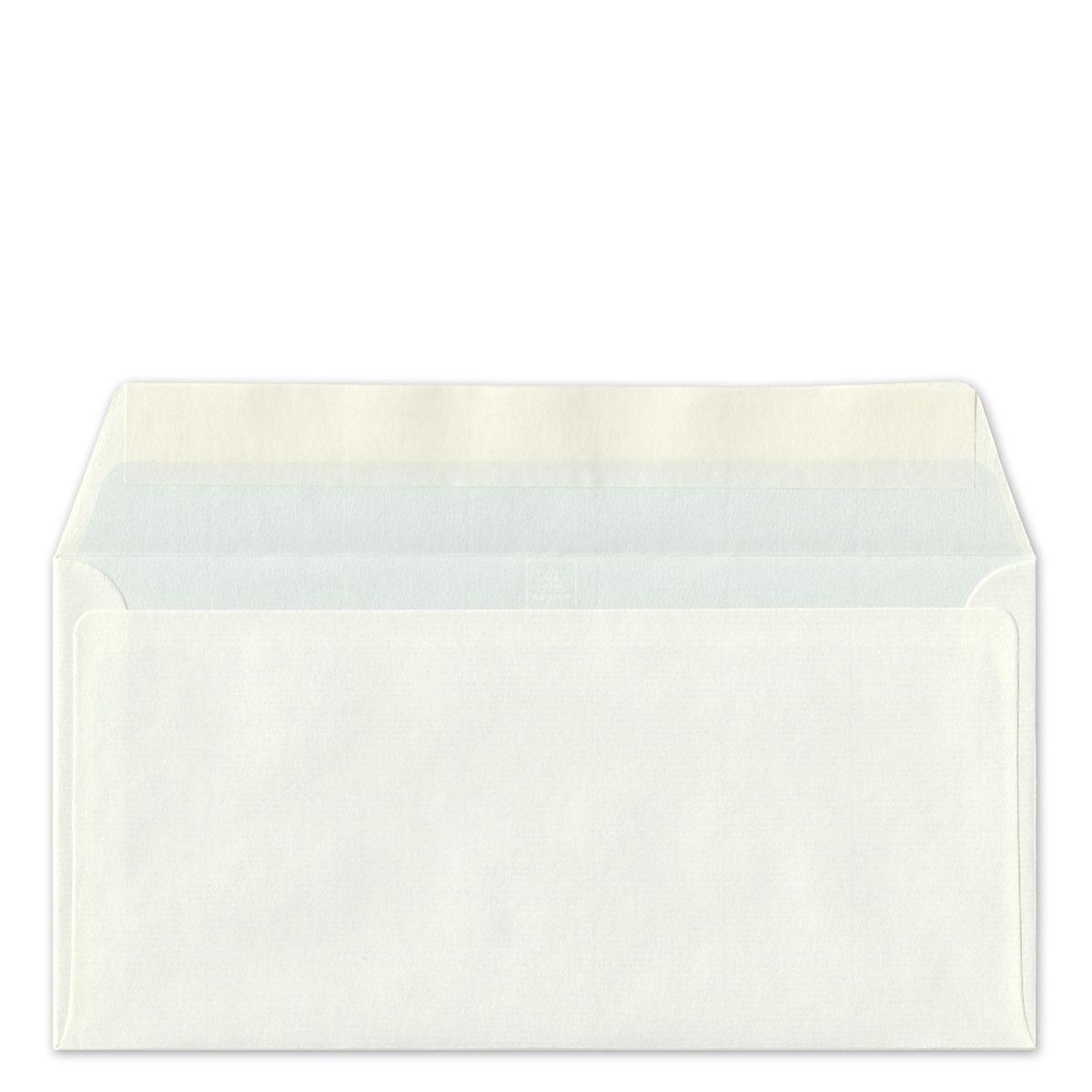 10er Set Grußkarten mit Umschlag: Kater mit  Auto