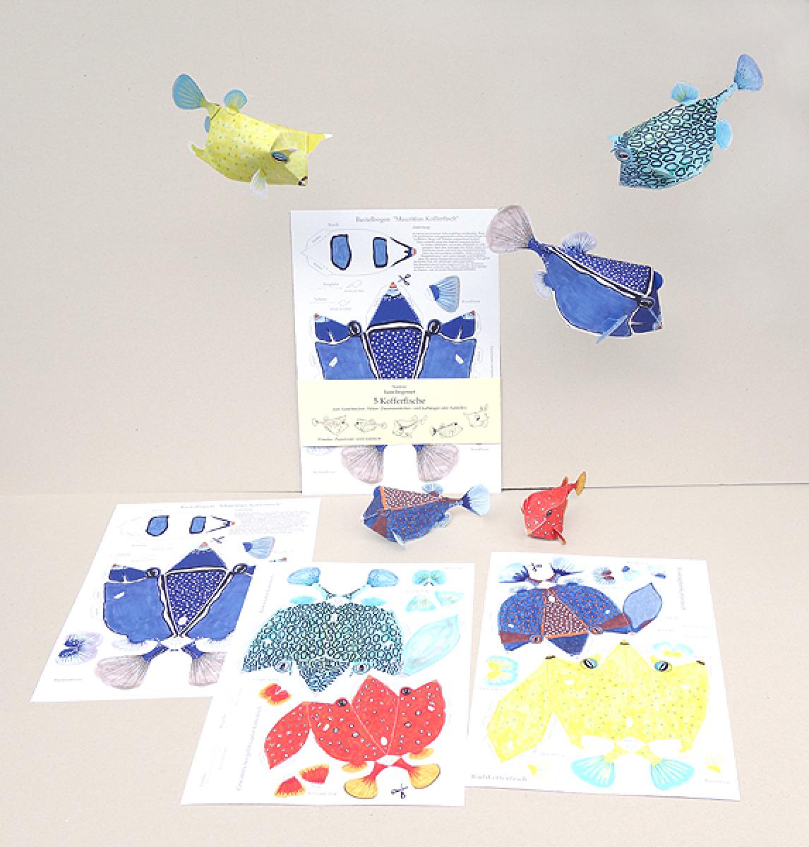 susilous Bastelset: Kofferfische