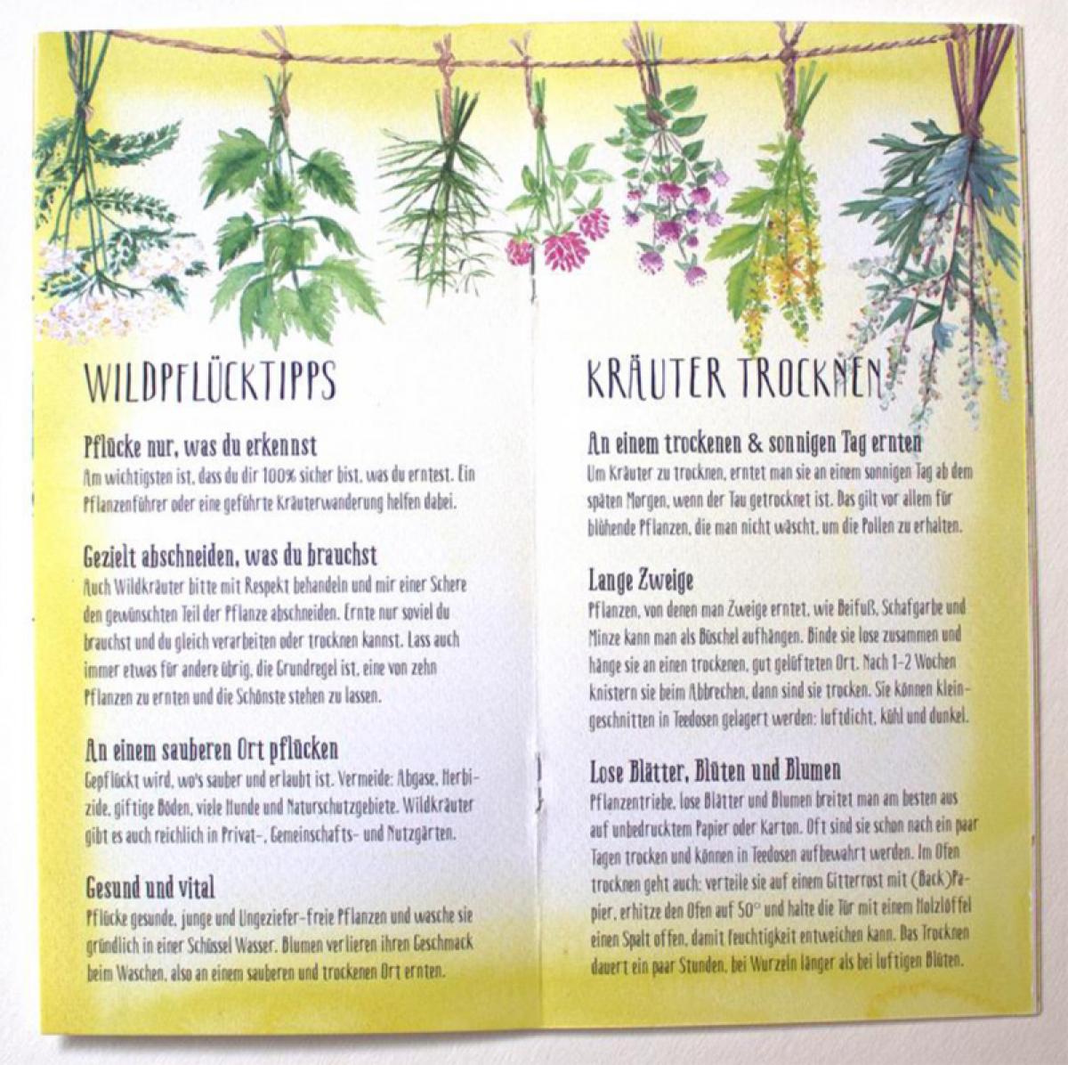 illustriertes Rezeptbüchlein: Wilder Kräutertee & Limonade