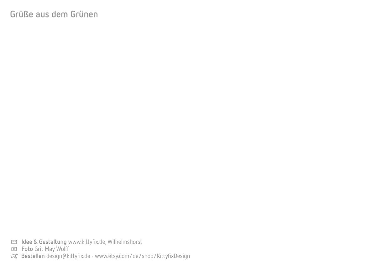 Postkarte mit Spruch: Grüner wird´s nicht!