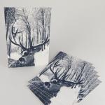6 Winter-Postkarten: Rehbock im verschneiten Wald