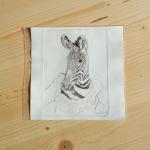 Radierung: Frau Zebra