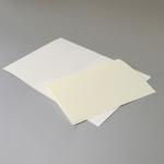 ebA5conq-chamoisfalt